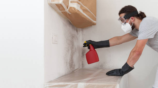 Professional Crawl Space Mold Remediation technician working in Dunkirk, NY